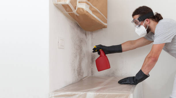 Professional Bathroom Mold Removal technician working in Fairview, TX