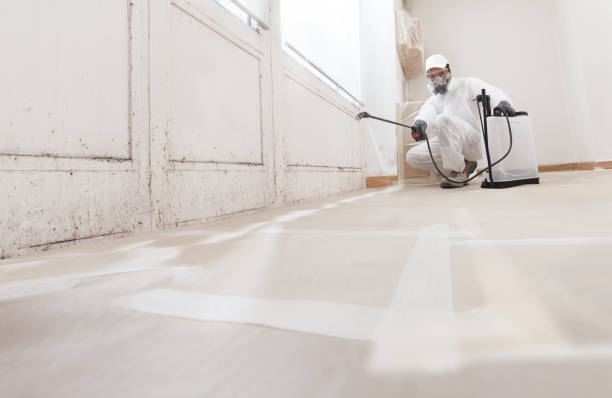 24/7 Emergency Bathroom Mold Removal experts in Fairview, TX